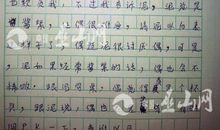 我是“迷”_450字