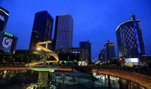 我当“护花使者”_500字