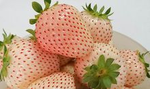 小草莓日记之报名公主学院_650字