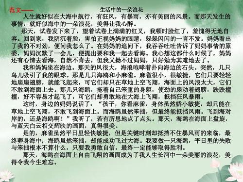 [一个美丽的喷雾_650字