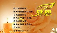 感谢有你，母亲_1200字