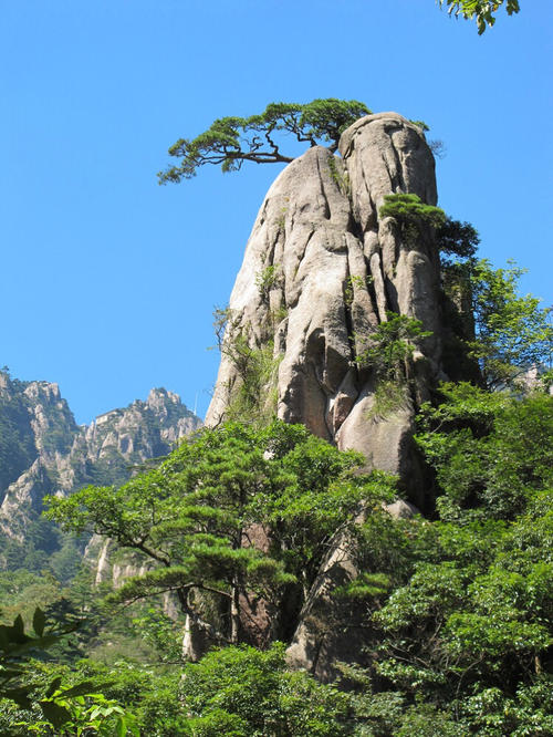 美丽和白山云_800字
