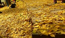 [秋天的童话]记忆中的小店_1000字