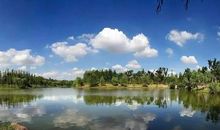 城市环境保卫者_450字