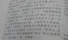 三年级写人作文：一个聪明漂亮活泼的小姑娘_350字