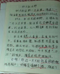 三年级写作组成：勤劳秋天女孩_300字