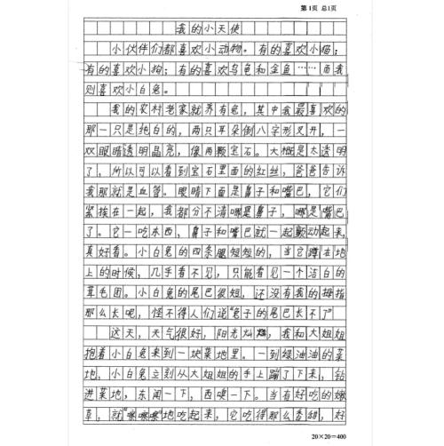 三年级写道：梅尔斯'姐姐_500字