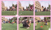 环环相扣[四]_2000字