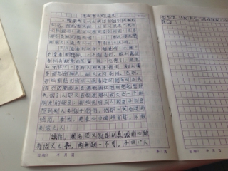 我不是欺凌（5）_400字