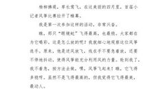 [超新星小学组]风筝的愿望_200字