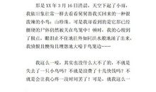 难忘的一天_900字