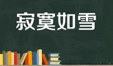 冬天的封面_350字