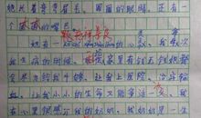我“可恶”的妈妈_500字