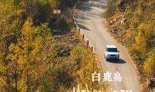 [秋天的童话]我和老师互换身份_650字