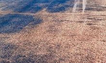 没有路，心儿指引着走_900字