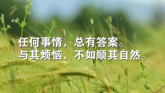完成奥林匹克派对后，我母亲再次吃饭，因为我今晚要去小兴英语学校。我原来快乐去潇潇的英语学校，因为我今天必须去礼物，但我很生气，因为没有礼物，我必须改变！