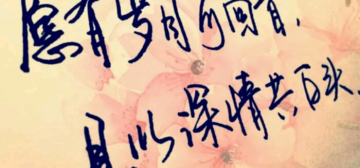 在这里，我们真诚地对世界的父母说：“妈妈和爸爸，你已经努力工作，妈妈和爸爸，我会永远爱你！”