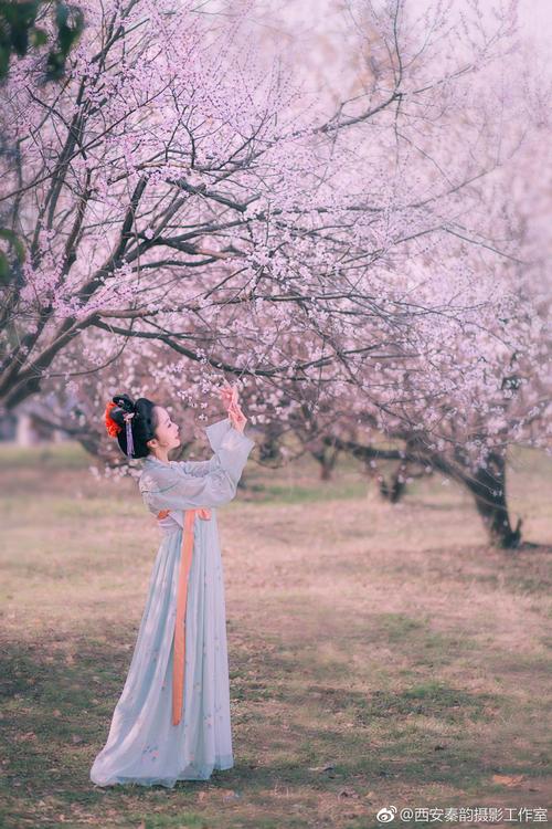 [爱情情绪]没有鲜花和空分支_1200字