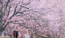 [爱的感悟]莫待无花空折枝_1200字