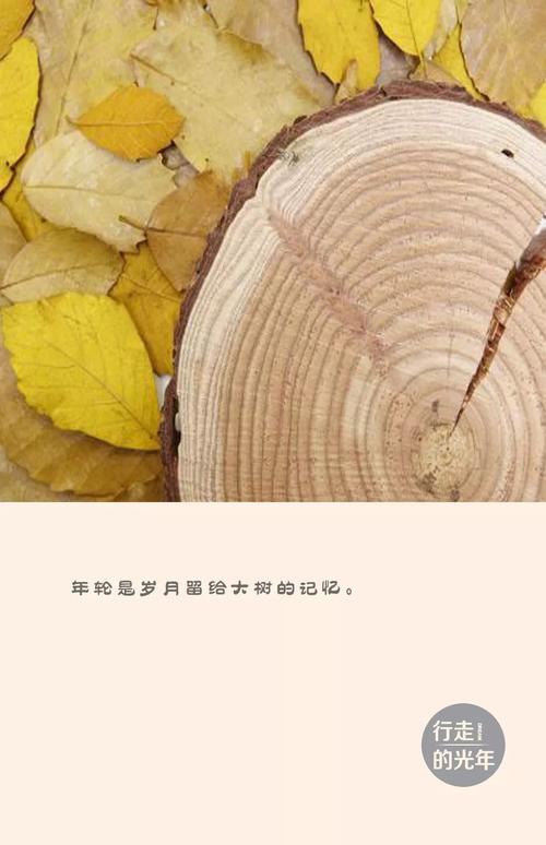 [爱情情绪]快他圆_700字