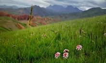 BT腐女逆天记【第六章 异能神马初展】_1200字