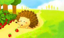 假如我是一只刺猬_650字