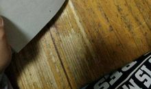 [超新星小学组]我要自由_550字