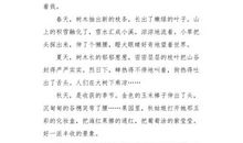 夏季的美景_250字