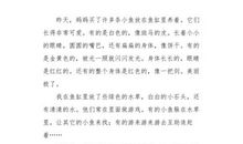 小鱼争食_250字