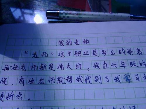 我的老师_348字_300字