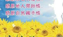 [爱的感悟]感恩父母_600字