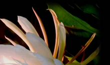 将一瞬握成永恒_1000字