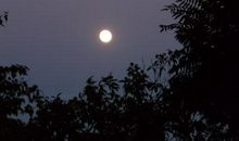 [中秋节征文]中秋明月_500字