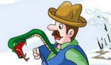 蛇与农夫[新编]_250字