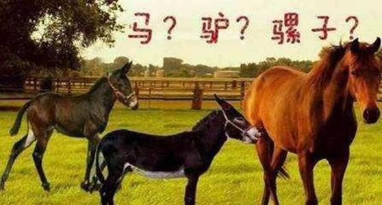 
这表明强大而弱者应该互相帮助，共同合作，每个都能生存。