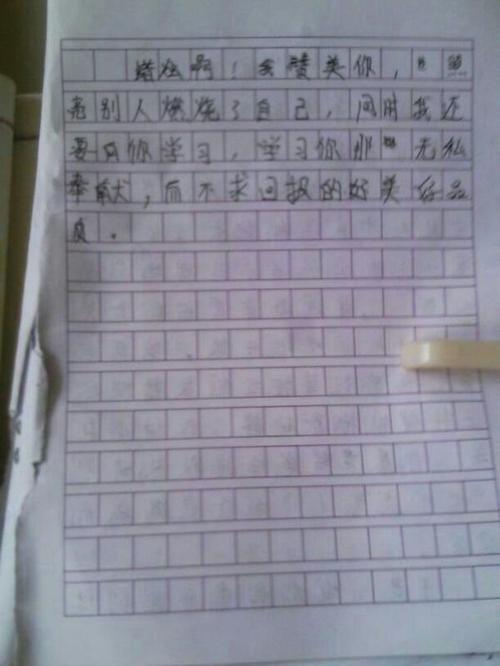 爱的计算_600字