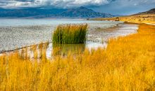 眼泪，最后一滴眼泪_1500字