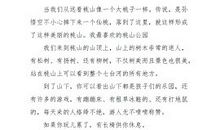 我的最好的同学_250字