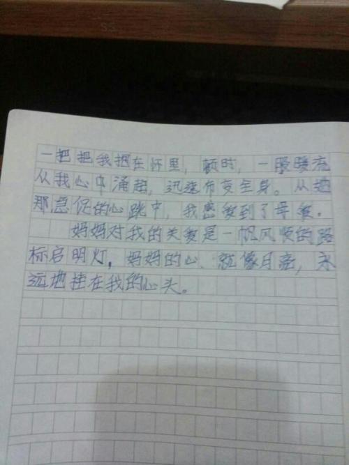 父母的爱_100字