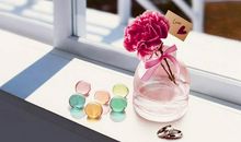 心灵的脚步_750字