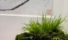 致庞飞的信_600字