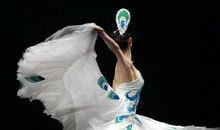 观舞记——雀之灵_400字