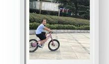 流水不腐，户枢不蝼_650字