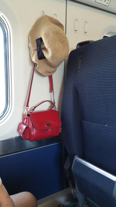 最美丽的手势_800字