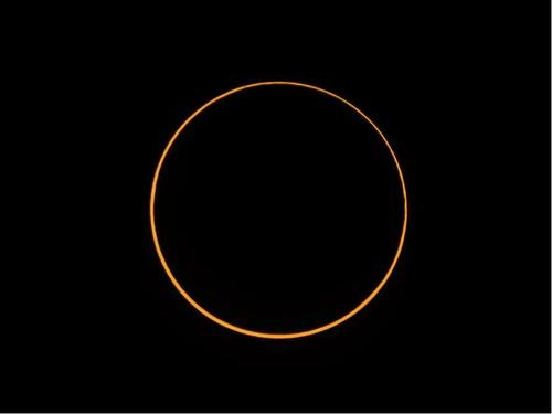 我错过了太阳，有一个月亮_800字