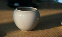 枯草的重生_1200字