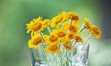 生活让自己精益求精_1000字