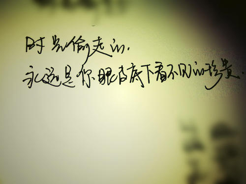 现在珍惜_800字