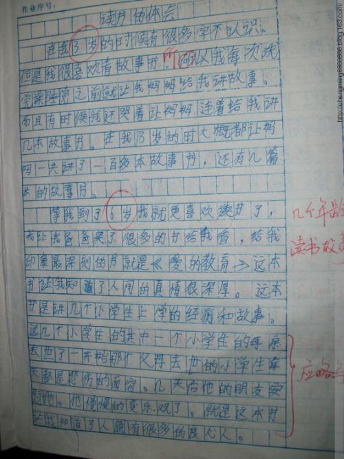 节日快乐_800字