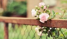 最遥远的距离_800字